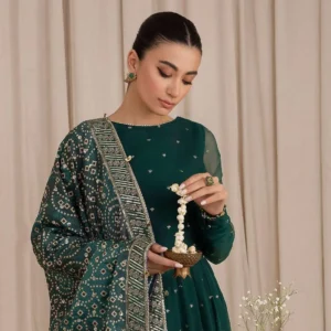 Chiffon Embroidered Suit