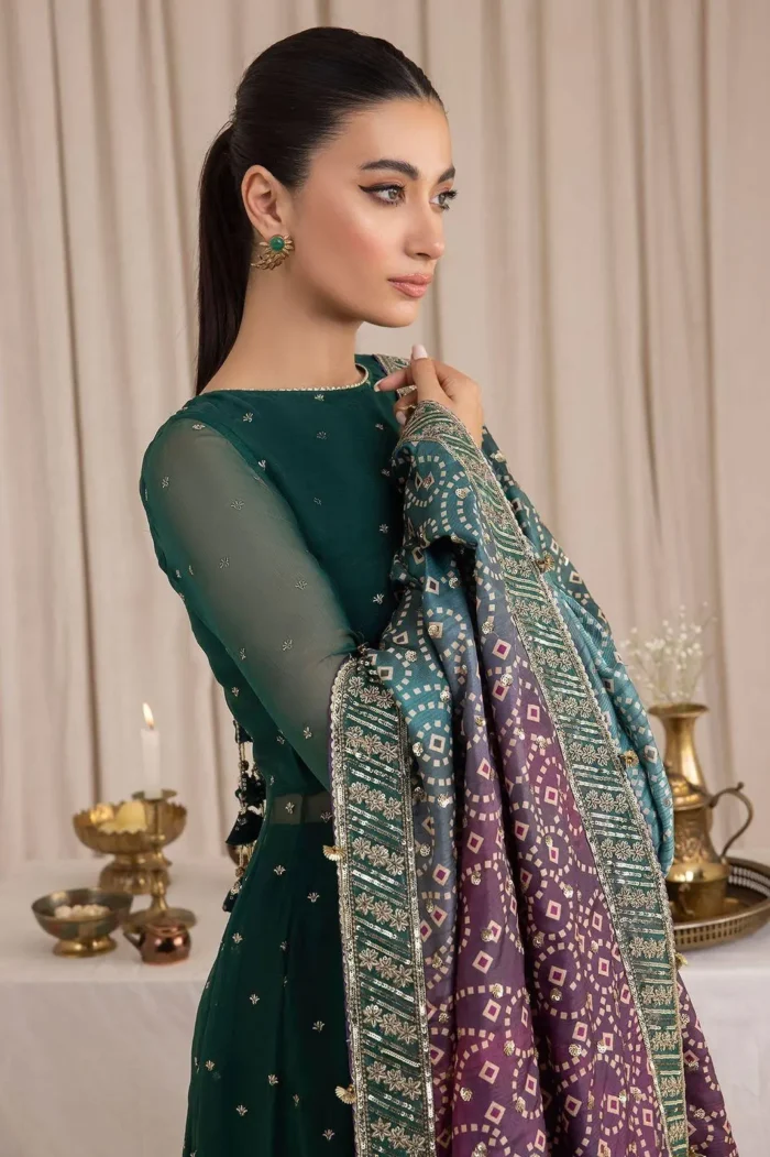 Chiffon Embroidered Suit Chiffon Embroidered Suit
