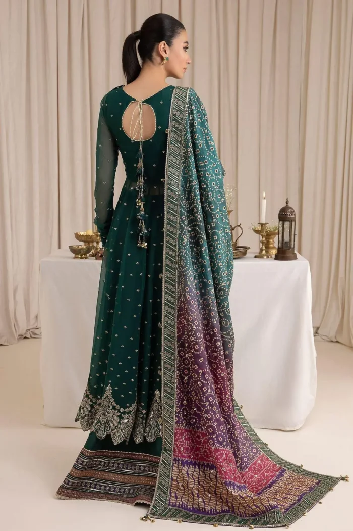Chiffon Embroidered Suit Chiffon Embroidered Suit
