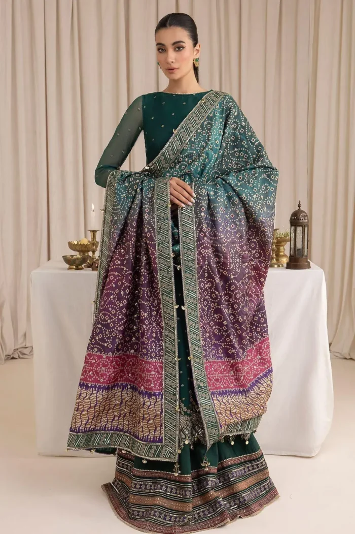 Chiffon Embroidered Suit Chiffon Embroidered Suit